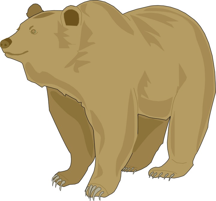 Grizzly Bear - Grizzly Bear Clipart