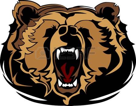 grizzly bear: Grizzly Bear Mascot Head Graphic
