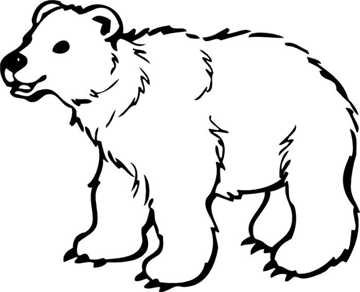 Grizzly bear silvertip bear clipart graphics free clip art