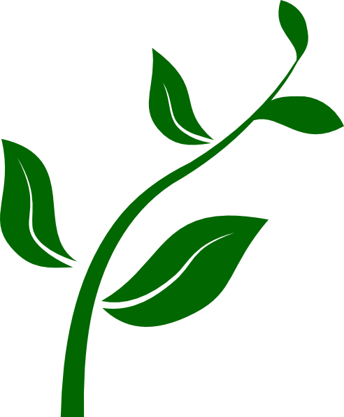 Growing Plant Clip Art At Clker Com Vector Clip Art Online Royalty
