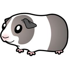 Guinea Pig Clip Art. cartoon style