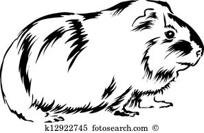 Guinea Pig Clip Art. cartoon 