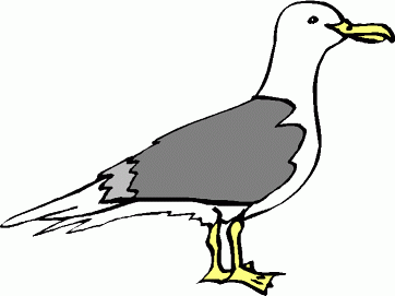 Clipart Flying Seagull Royalt