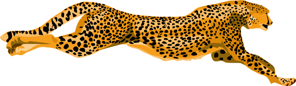Ha Flosse Leopard Cheetah. » - Leopard Clip Art