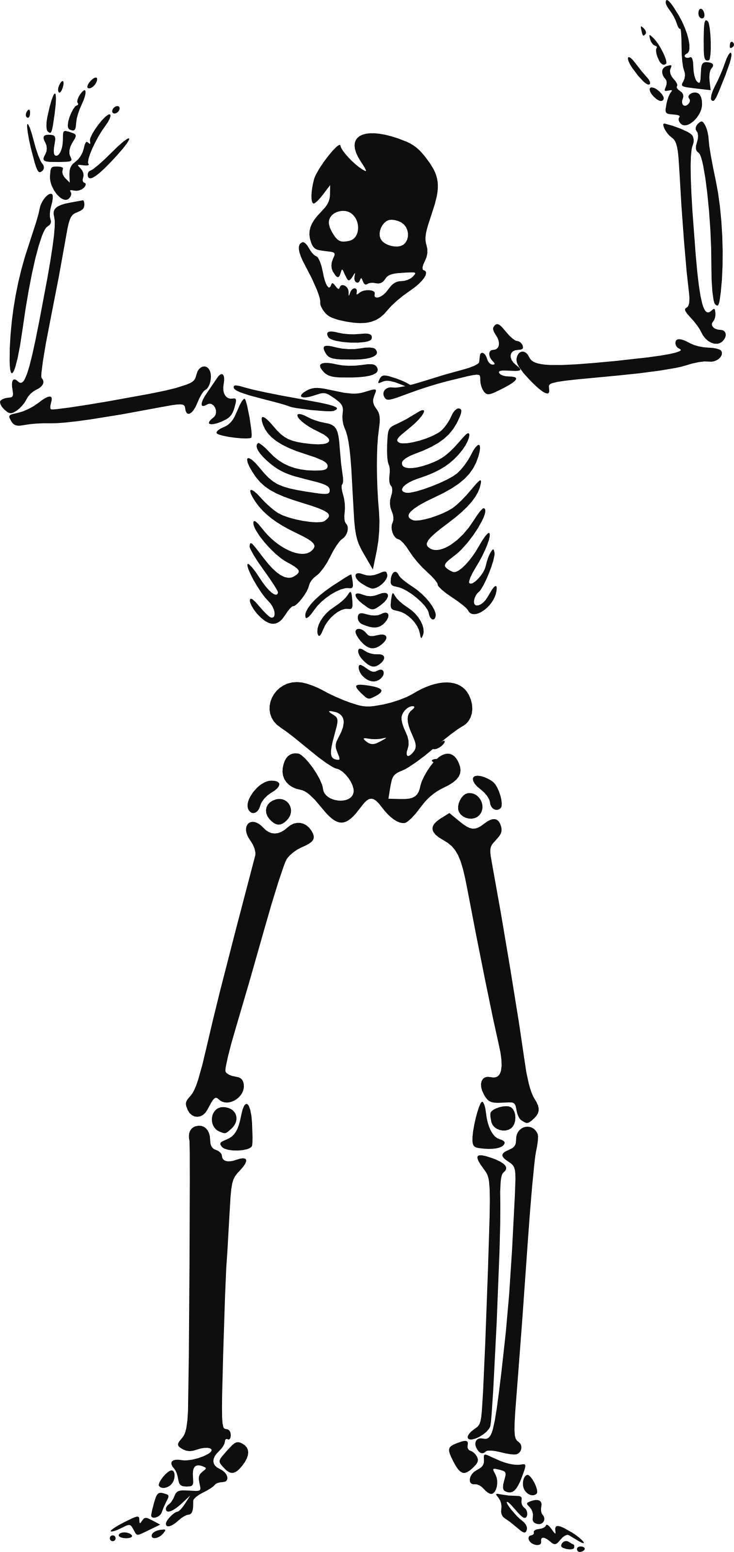Halloween skeleton clipart fr - Clip Art Skeleton