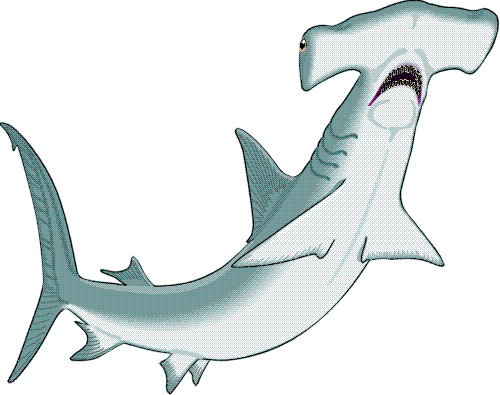 hammerhead shark clipart blac