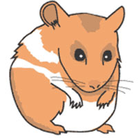 Cute Hamster vector art .