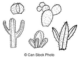 ... hand draw sketch of cactus at white