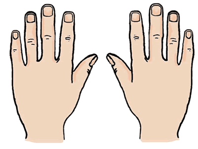 Hands clip art cliparts and o