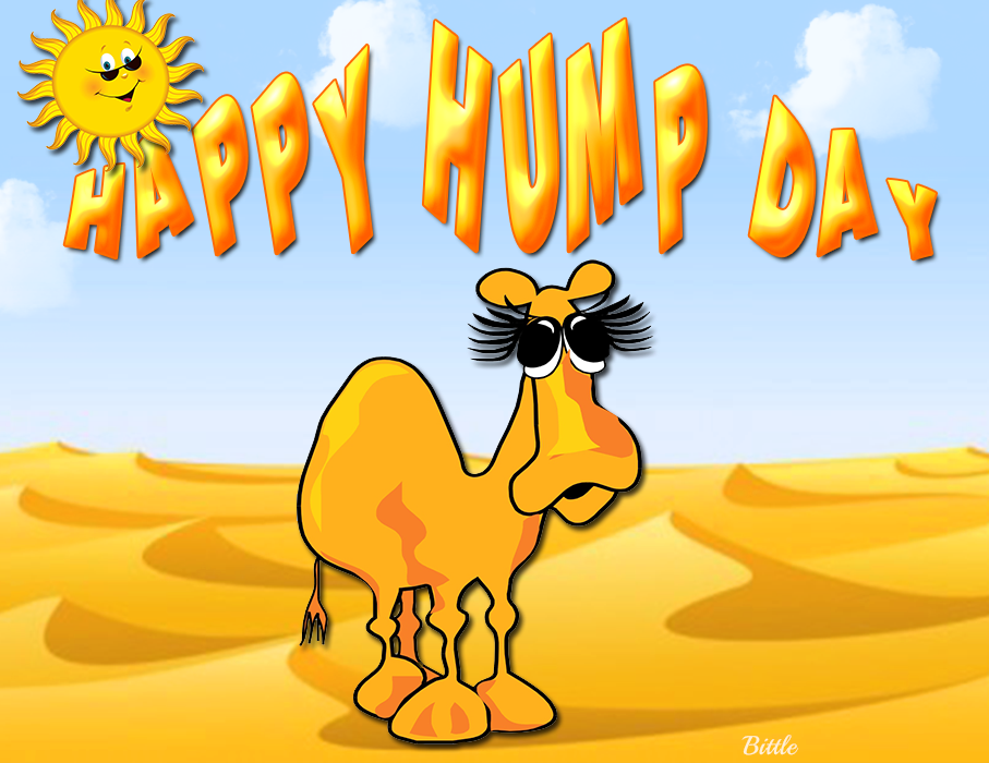 Happy Hump Day Quote With Camel