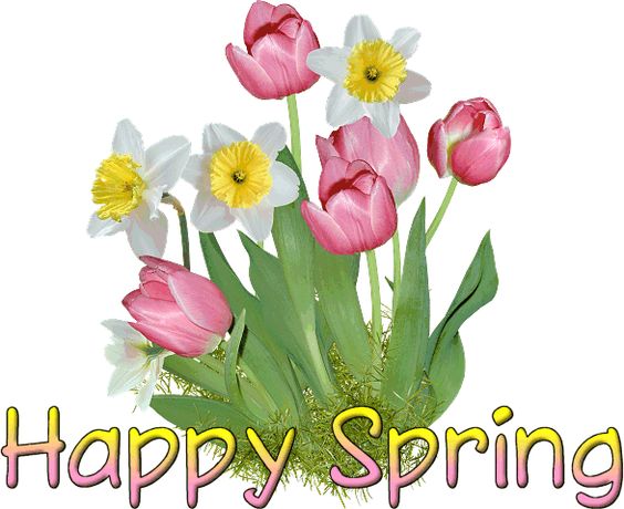 Happy Spring Clip Art - Bing Images