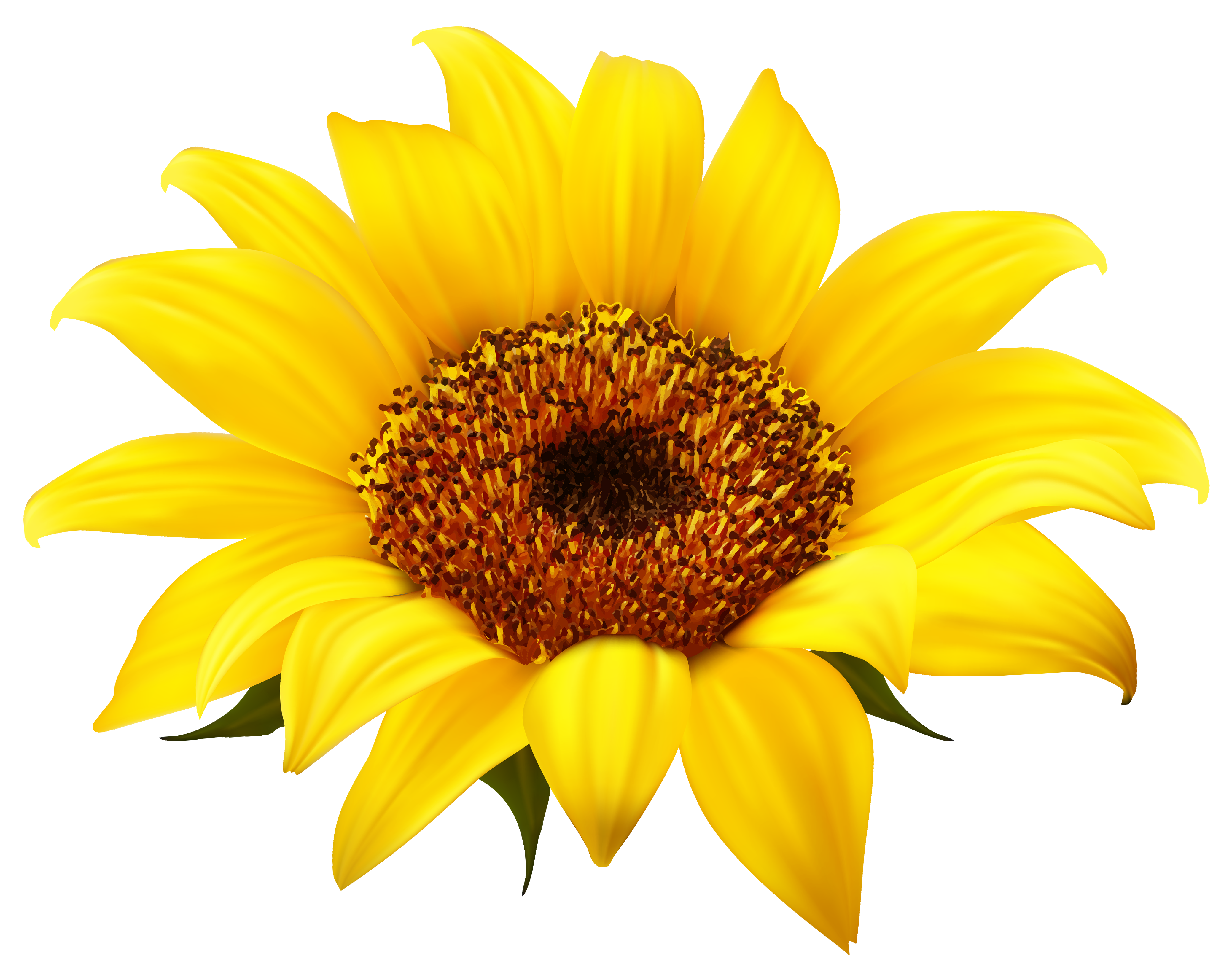 Happy sunflower clipart free  - Free Sunflower Clipart