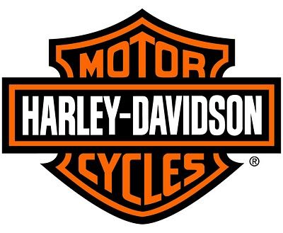 Harley Davidson Logo 776 Back
