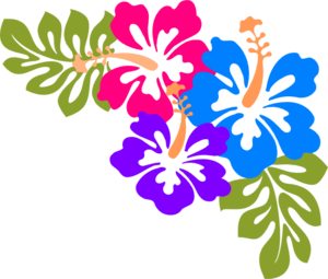 hawaiian flower border clip a - Hawaiian Border Clip Art