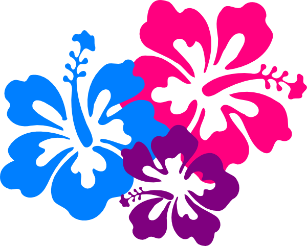 hawaiian flower border clip a - Hawaiian Flower Clip Art