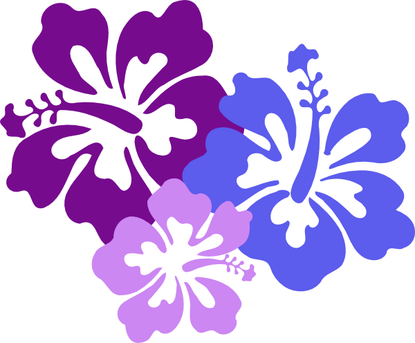 hawaiian flower border clip art