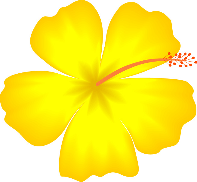 hawaiian flower clip art bord - Hawaiian Flower Clipart