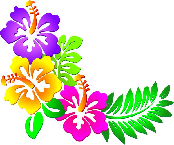 Hawaiian Clip Art Borders | Hibiscus Corner clip art