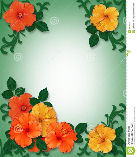 Hawaiian Clip Art Borders | Tropical Border Clip Art Tropical hibiscus flowers