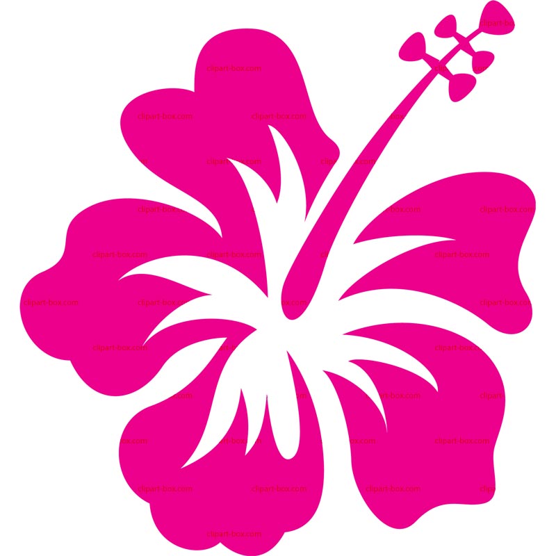 Hawaiian flower clip art .