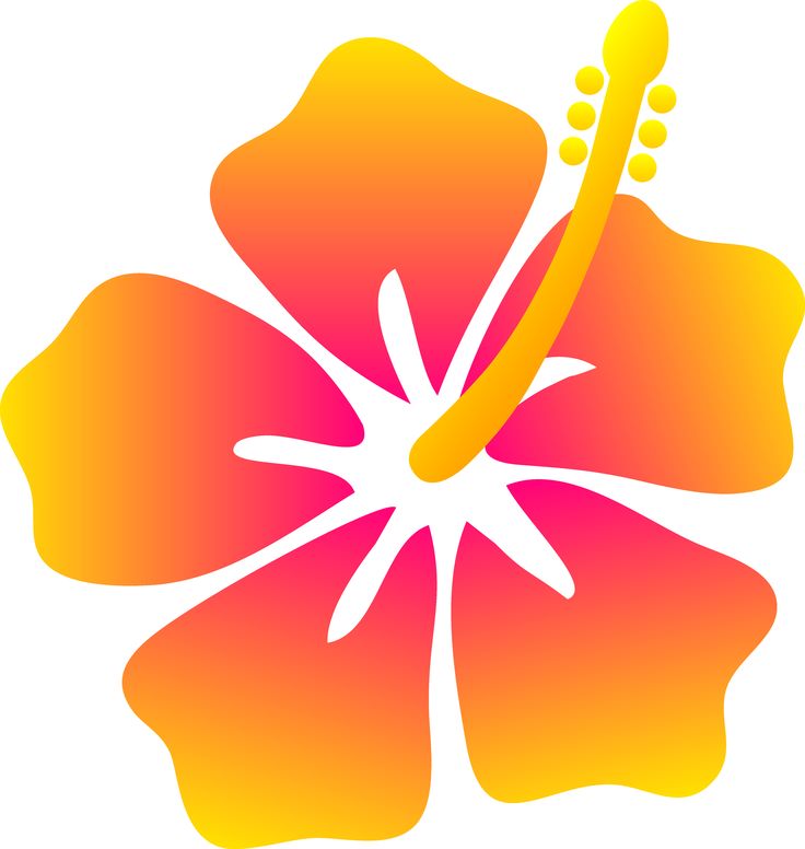 Hawaiian Flower Clip Art | Pink and Yellow Hibiscus Flower - Free