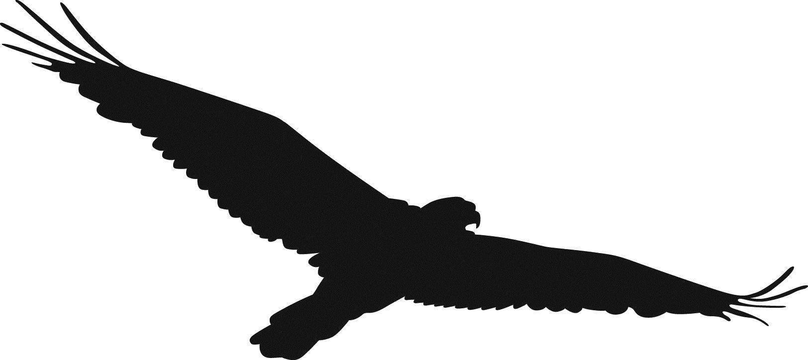 Hawk clip art at vector clip .