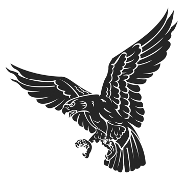Hawk Clip Art - Hawk Clip Art