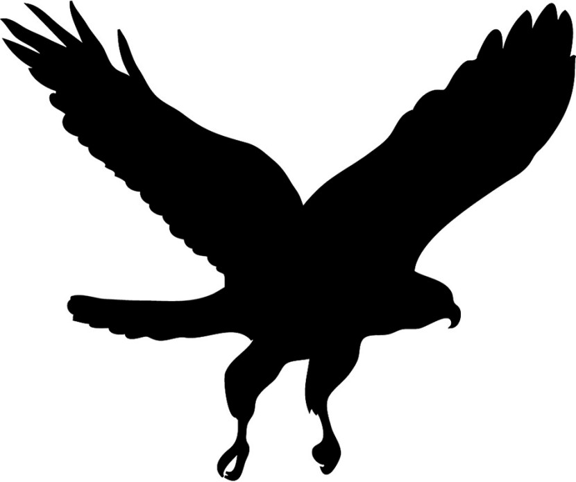 Hawk Clipart - Hawk Clip Art