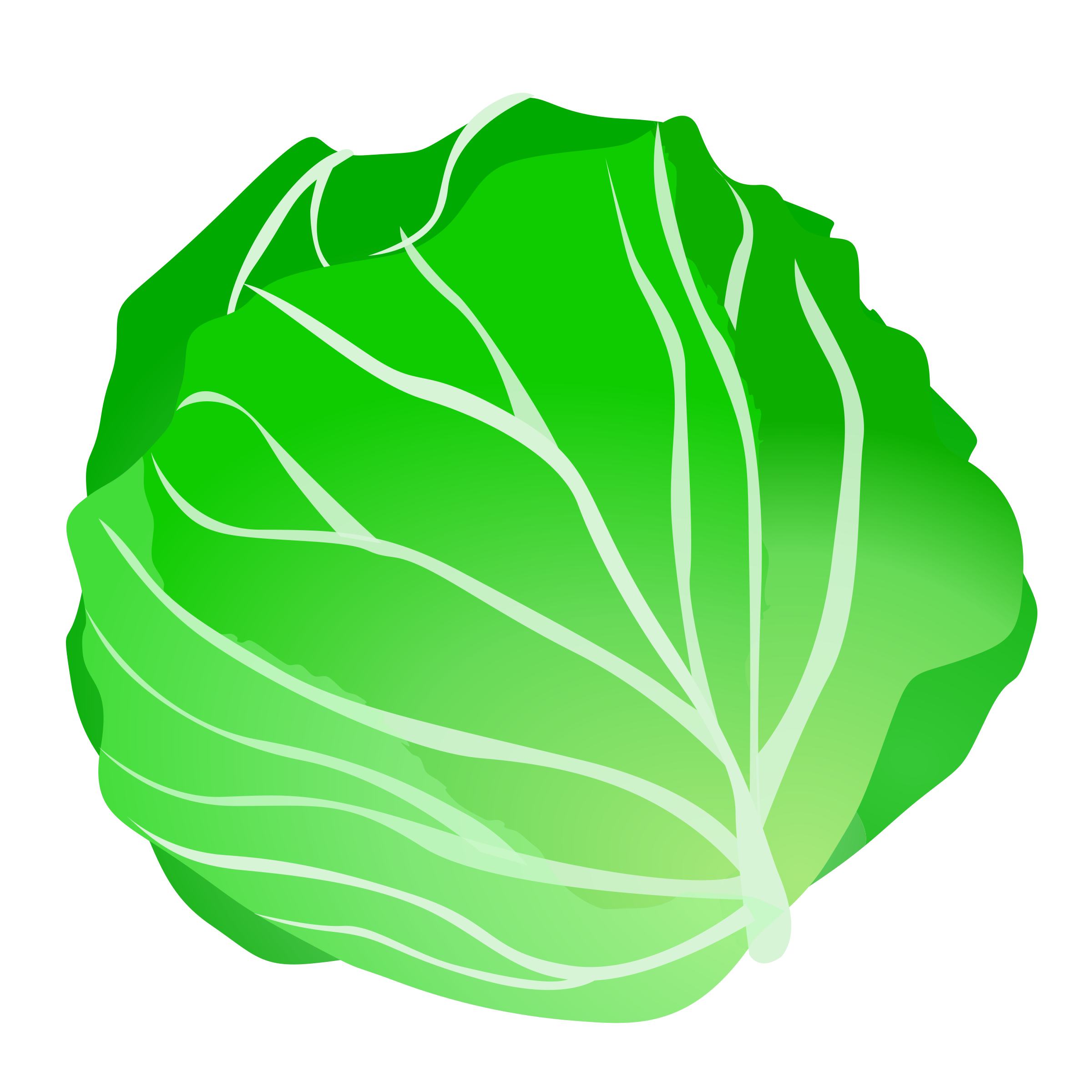 Head of lettuce clipart transparent clipartall