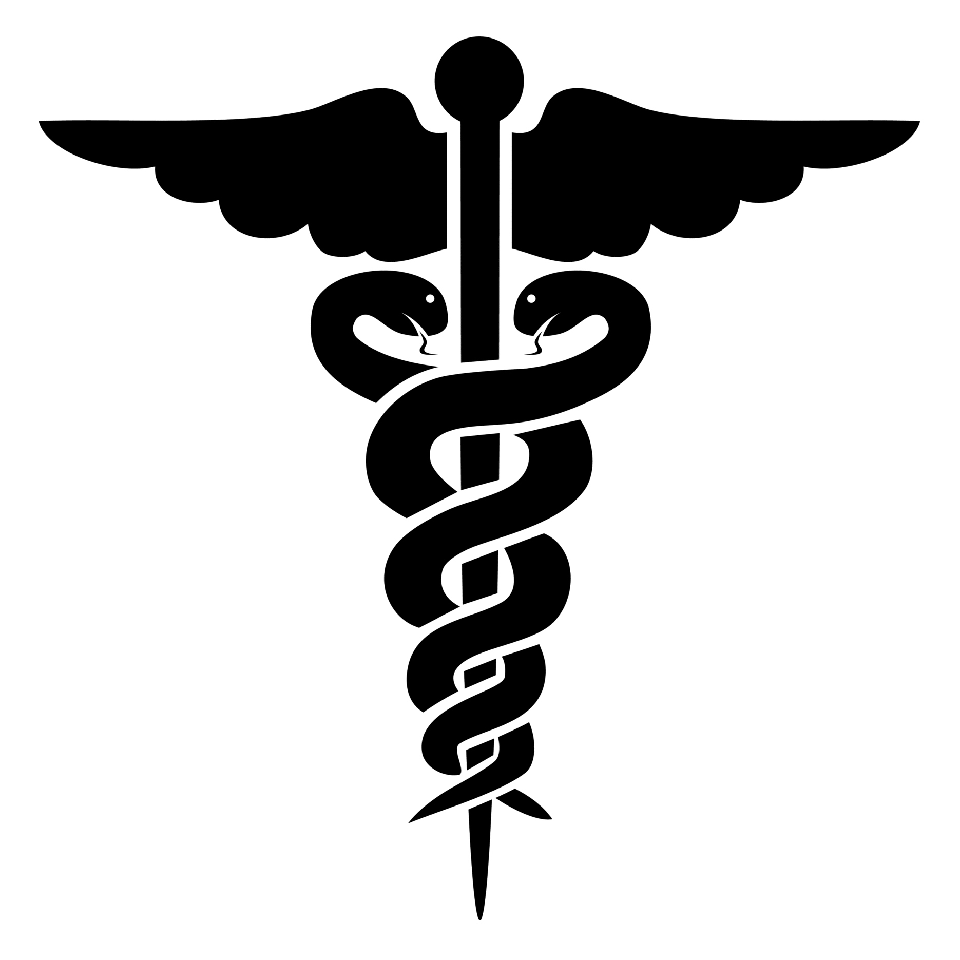 Caduceus Medical Symbol Black