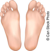 ... Healthy feet. Vector illu - Clip Art Feet