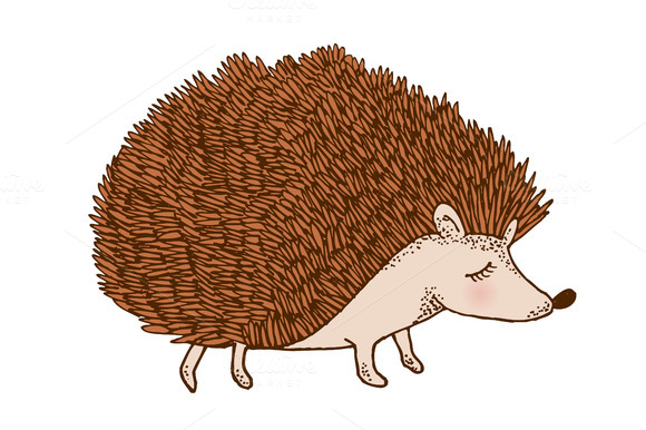 Hedgehog Clipart. BIG IMAGE (