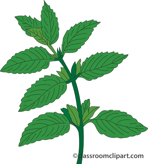 Herbs clipart different kind plant #2