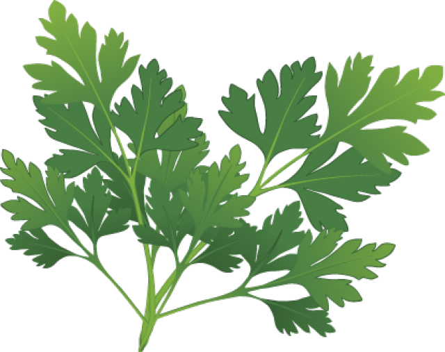 Herbs And Spices clipart herb