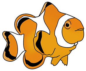 Here you find clown fish, sca - Clip Art Of Animals