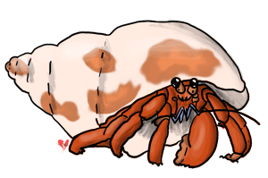 Hermit crab clipart