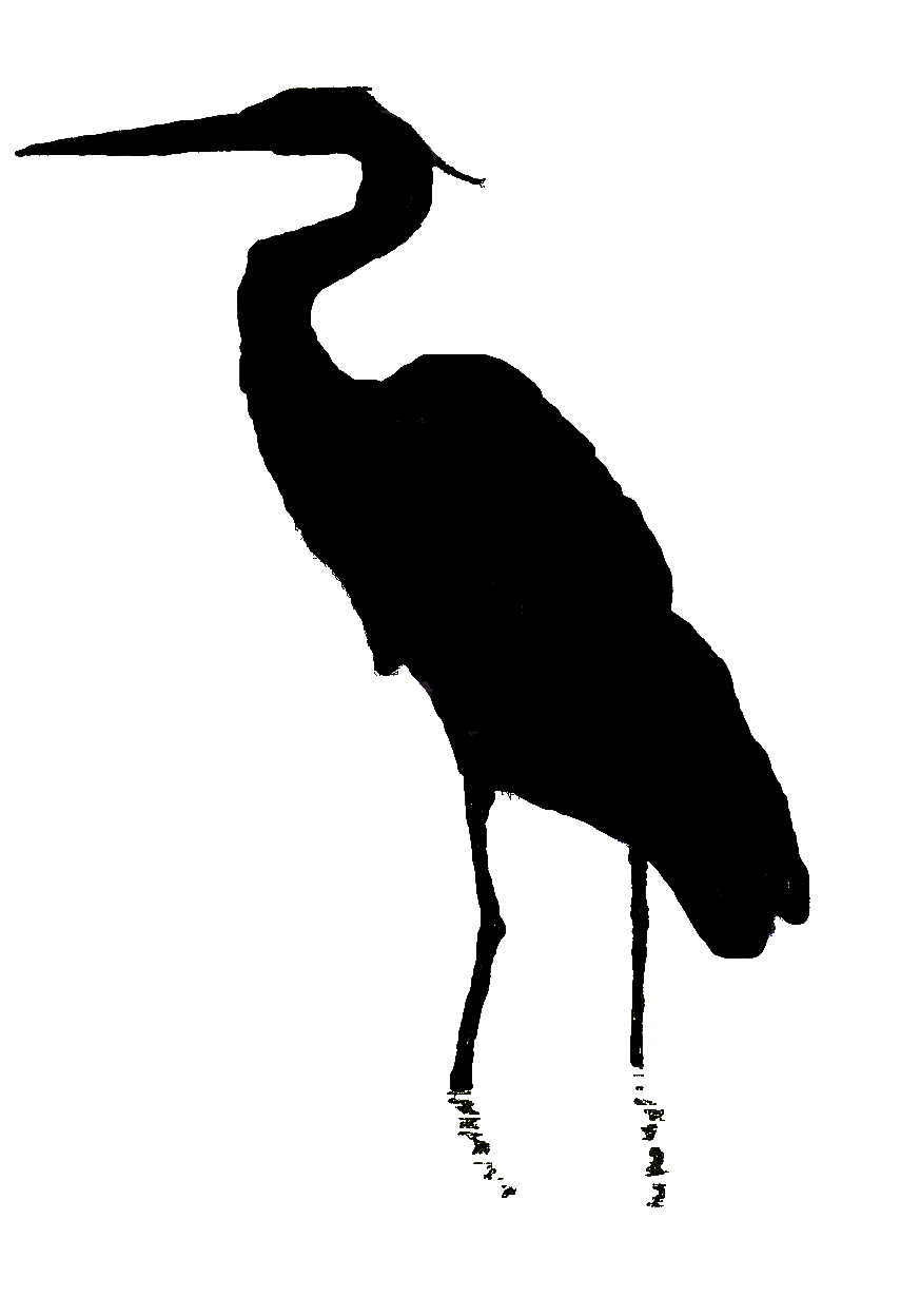 Heron Clip Art