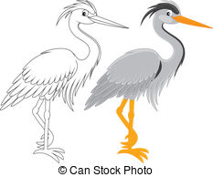 ... Heron - Grey heron, color and black and white outline vector.