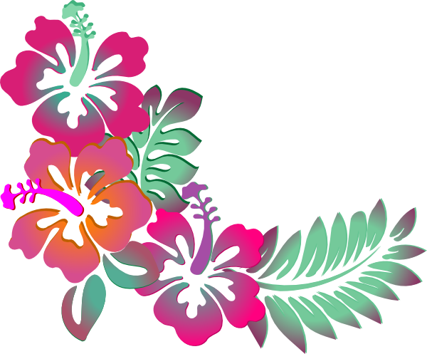 Hibiscus Corner Clip art - Fl - Hibiscus Flower Clipart