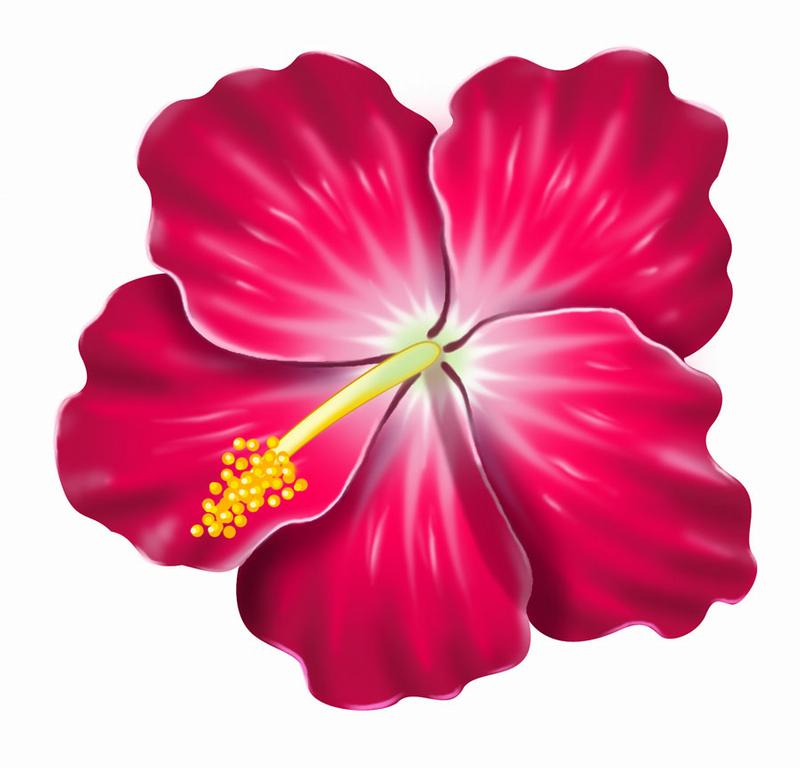 Hibiscus Flower Clip Art Clip - Hibiscus Flower Clipart