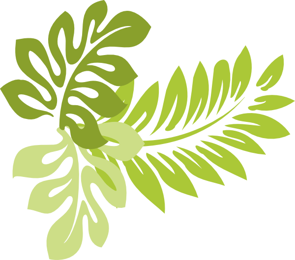 Hibiscus Leaves Clip Art At . - Palm Leaf Clipart