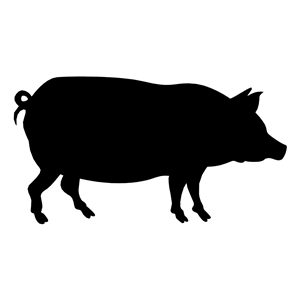 Hog Clipart | Free Download Clip Art | Free Clip Art | on Clipart .
