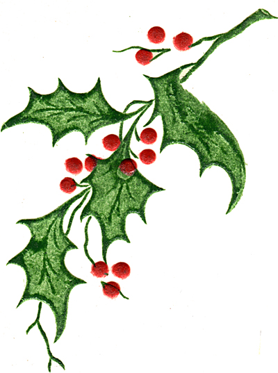 Holly Leaf And Berries - Clipart library