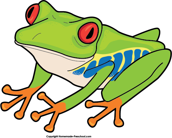 Home Free Clipart Frog Clipart Red Eyed Tree Frog