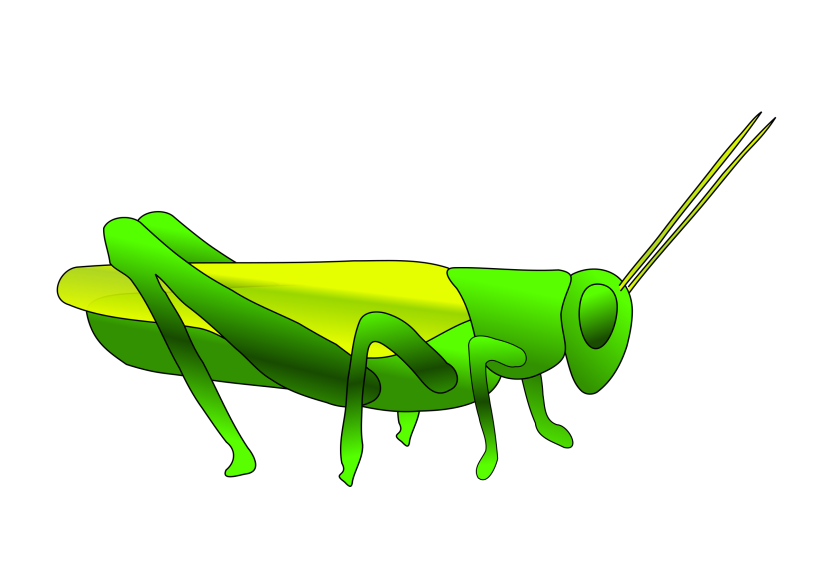 Grasshopper Clip Art