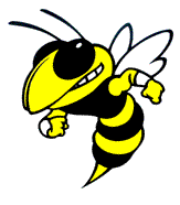 yellow jacket bee: Bee Footba