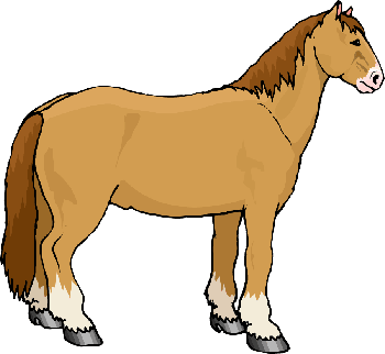 horse clipart