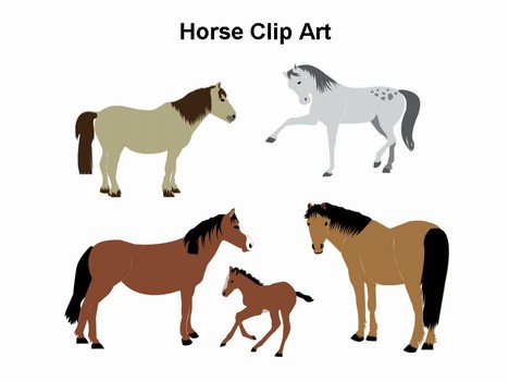 Horse Clipart-hdclipartall.co - Horse Clipart