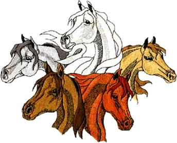 ... horse heads ... - Horses Clipart