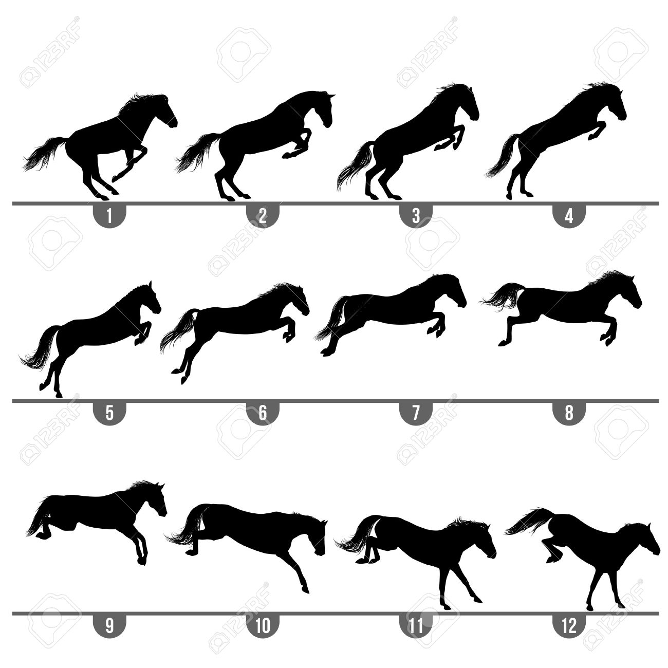 horse jumping: Set of 12 jumping horse phases silhouettes